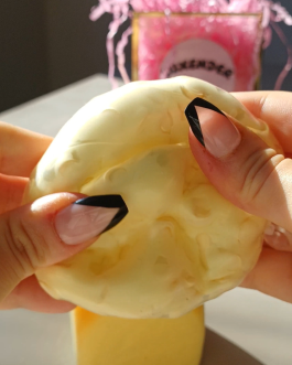 Cheese crunch squishy