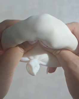 Crunchy cloud Squishy